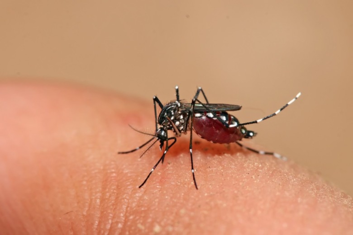 Santé /Afrique  Côte d’Ivoire :  une épidémie de dengue signalée à Abidjan